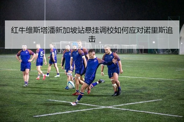 红牛维斯塔潘新加坡站悬挂调校如何应对诺里斯追击